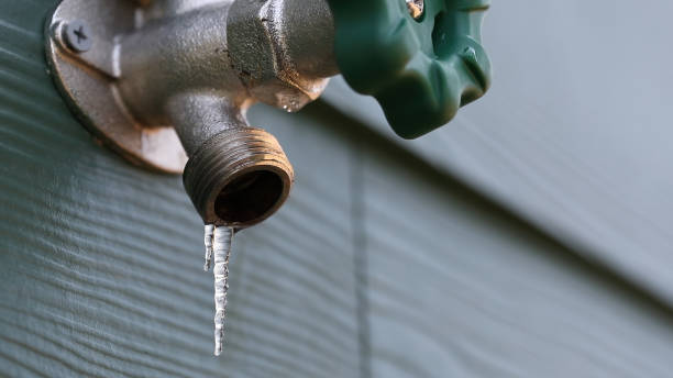 Best Clogged Drain Plumber  in Arlington, TX